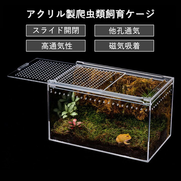 楽天市場】【送料無料】COZENTA 爬虫類 ケージ シェルター アクリル製 