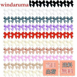 yzBLOOPIC lCp[c { LeBlCp[c 100 3D   WG[p[c DIY  nhCh lCA[g ~j{ lCV[ (F̍)