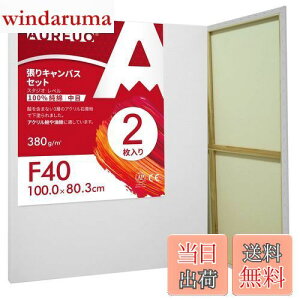 yzAUREUO LoX Zbg F40 (100cmX80.3cm)  100Rbg 2 S Gp |pGn G p ʉEGEANp