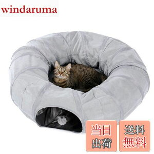 yzPAWZ Road Lgl Lbggl ~ h[ic^  lC ^Cgl O xbh L̑   a25CM ܂肽 XgXU ^s - O[ h[