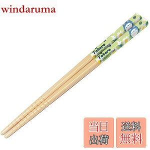 yzXP[^[(Skater)  | 16.5cm gg fCW[ Wu { ANT2