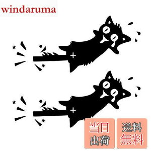 yz1797 XebJ[ ˂ L ɂ hXebJ[ fJ[ V[ ԗp 킢   ʔ K܂ꂽL J[XebJ[ hA  ǃV[ xbh[ 