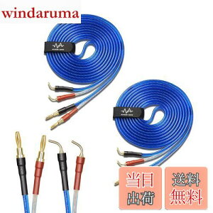 yzyoinz 2{1g LRZbg yoiivOHρz by yWYVERN AUDIOz 24kbL vO Xs[J[ P[u in_ς By WYVERN AUDIO (oiivO̐jvO / 