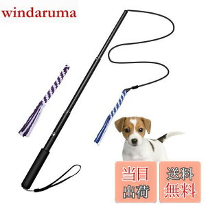 yzpފƂ [v   hM[} Pp p ފƌ^ OߐLkł 2pt 3`5Jɔzς