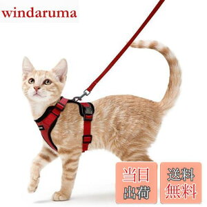 yzRabbitgoo L n[lX [h Zbg ɂ \tg y ^ ^ L U p n[lX  グ TCY߉ 锽 ʋCbV Pݖh~