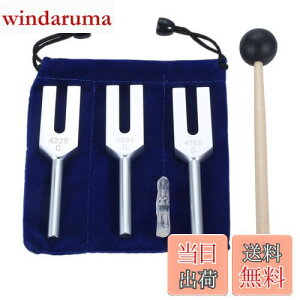 �y���������zDreld �V�g�̉����Z�b�g�i4096Hz�A4160 Hz�A4225 Hz�j �V���R���n���}�[�ƃ\�t�g�X�g���[�W�o�b�O�t�� �y�� �V���o�[