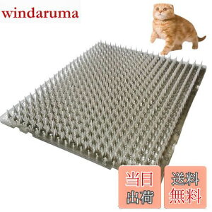 yzONESORA L悯V[g L悯Ƃ}bg  y8z Op LN tQh~