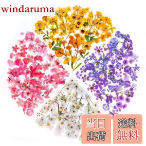 yzYOVOY 164 R[W f V[ ԃV[Zbg t[NV[ XebJ[ e    A 蒠fރXebJ[ KXrƉ