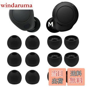 yzA-Pcas C[s[X SonypC[s[X WF-C700npC[s[X WF-C500 p WF-1000XM4p WF-1000XM3p K tBbg  K 􂢉\ VR yubN MTCY 6yAz(