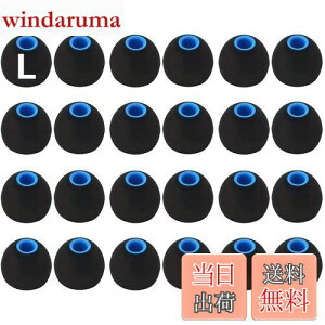 【送料無料】A-Pcas イヤーピース 2種類硬度のシリコンの組み合わせたハイブリッドイヤーピース Lサイズ24個入り 遮音性 重低音強化 Sony用 1000xm5用 1000xm4用 内径ダイヤ約3.8mm〜4.5mmカナル型イ