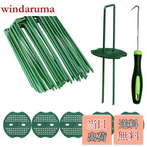 yzusY Ίەt 50{Zbg Niesporek 15cm hV[g Œp lH s ϋvU^s }`15cmtbN^_Ɨplbgi50{s+50Ίہj