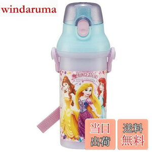【送料無料】スケーター(Skater) 水筒 ディズニー プリンセス 24 480ml 子供用 抗菌 プラスチック製 子供に優しい 軽量 日本製 PSB5SANAG-A