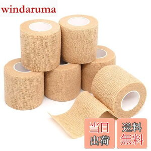 yzRenjzle ȔSLkoh X|[c тbv sDzÏW qɓKĂ܂ @\ ƒp C h _炩 5cm*4.5m