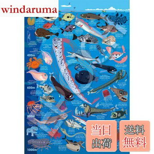 yzG|bN 100[Ws[X WO\[pY CXg/A[g Fi [C} [200m~1000m (26×38cm) 26-807 ̂t wt _t EPOCH