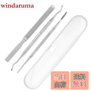 【送料無料】爪垢取り 爪やすり 爪リフター 3本セット ケース付き ステンレス製 爪垢とり 足の爪 爪ケア 巻き爪 厚い爪 ネイルケア