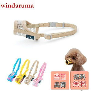 yzKUD p}Y ̌ bṼ}XN ݂h~ ʖi K ʋC ̌ ی pPpiix[W,2Sj