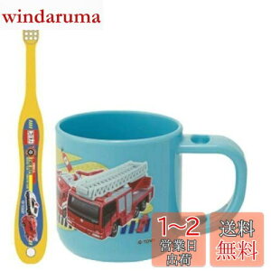 yzXP[^[ (skater) uVZbg uV Zbg X^ht Rbv 3-5ˉp g~J 19 180ml 14.5cm KTB5