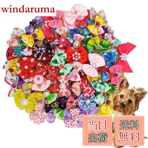 yzKingsie p{ wAoh 20_Zbg ybgp Jt  wAS wAANZT[  A\[g