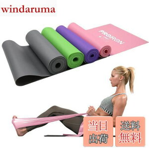 yzPROIRON Xgb`oh tBbglXoh GNTTCY `[u ebNXt[ ~ TPEf h K seBX ؗ̓g[jÔ⃊nrɍœKi2ms