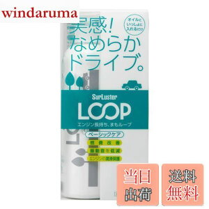 yzSurLuster(VAX^[) [v x[VbNPA ʎ GWICY RP Uጸ GWጸ V oN IC  RP LP-48