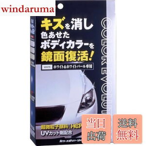 yz\tg99(SOFT99) bNX WAX J[G{[V zCg&zCgp[ ԓhʂ̃LYAیyщop ی܁Ap@NX2ApX|W 005