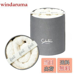 yzĂ^I feel tFCX^I 34×85cm 100 {bNX (~Xg(n))