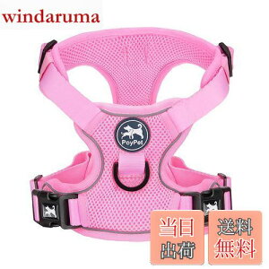 yzPoyPet \tgʋCbVn[lX ߉\ȎւƓ֕tA Ԕˍ S^ h~ y ^p ϋv \tgV s⏕p p Up ʋC