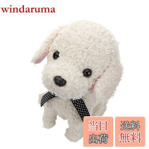 yzZKgCY(SEGA TOYS) RR  N[