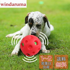 yzpet prime   {[ ^p ۂۂ퉹o dďvȉ̏o邨 傫ȉDȃ ȒP ^ a14cm
