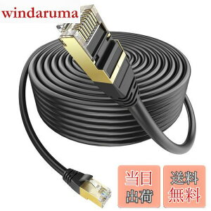 【送料無料】LANケーブル 100m 屋外用 ランケーブル PoE対応 Ankuly CAT6準拠 コネクタ付き UTP カテゴリ6 業務用(ブラック)