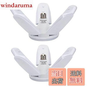 yzLaiqianle K[WCg 100w 2 LEDV[OCg y_gCg Ɠ 6 F 6500K VƖ tȒP Hsv px߉\ ȃGl Ԍ q [ HpCg 