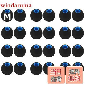 yzA-Pcas C[s[X 2ލdx̃VȒgݍ킹nCubhC[s[X MTCY24 Չ dቹ Sonyp 1000xm5p 1000xm4p WI-C100p a_C3.8mm`4.5mmJi