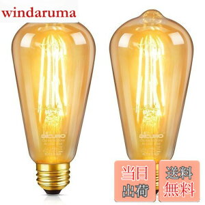 �y���������zDiCUNO LED�d�� E26���� 60W�`���� �d���F �G�W�\���d�� 6W 600lm 2700K �t�B�������g�d�� �S���� ���F ���g�� ST64 �������Ή� 2��