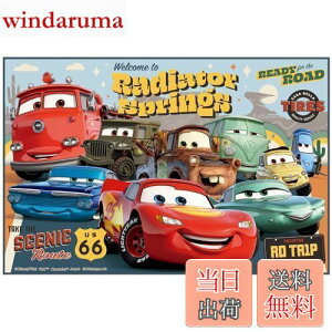 yzXP[^[(Skater) qp W[V[g  STCY 60×90cmTCY fBYj[ J[Y 24 VS1-A