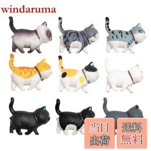 yzKALOLINNA tBMA L qLߋZbg 9Zbg LObY ~jgC  킢 K[fI[ig ԓ CeA  G LL ap[e