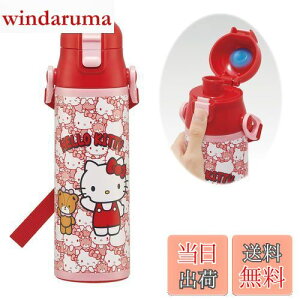 yzXP[^[(Skater) qp XeX   580ml n[LeB 낤 TI qɗDyʃ^Cv ۗp waterbottle X|[c{g 킢LbY q 