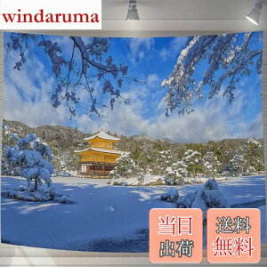 yzU-SITU ^yXg[ Ǌ| Ǐ t s  RiF IV wi @\ z|X^[ CeA ͋C]iTCYF75cm x 100cmjJ[FGT0196SA