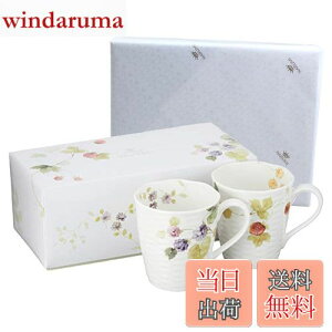 yzNARUMI(i~) yA}OJbv [V[K[f 370cc x[ 2Zbg 킢  [t 傫 j ̓ v[g dqW H@Ή Mtg