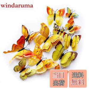 yzULIN  3D  EH[XebJ[ ǎV[  ʃe[v V[ rO ① CeA ǃV[  킢 EH[y[p[ |X^[ CG[