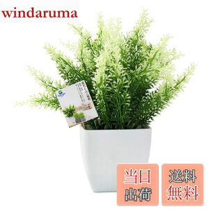 yzTOSSOW lHϗtA  tFCNO[ tFCNϗtA l CeA v[g Ηt