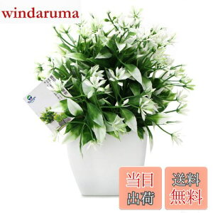 yzTOSSOW lHϗtA  tFCNO[ tFCNϗtA l CeA v[g ΂Ɣt