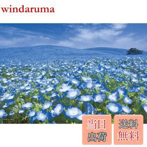 【送料無料】やのまん(Yanoman) 【日本製】300ピース ジグソーパズル 日本風景 空つなぐ丘 茨城 (26x38cm) 03-911 ピース請求ハガキ のり付き へら付き サービスカード付 ジグソーパズルのトリセツ