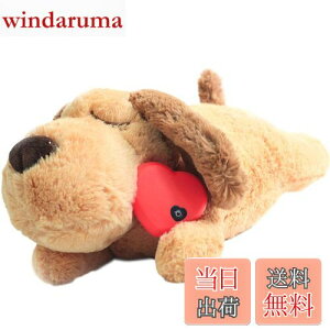 yzDEWU ybgpn[gr[gʂ݁Aqŝ\tgybgg[ʂ݃X[sOofBs⏕sɘa⏕ʂ݃X}[gL