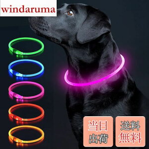 yzColaseeme Wi6593610j  F500mŖԂS  L   Cg  UUSB [d i}[dgpARZgd5VɂĂBj