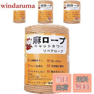 yzyƊďCz[v  6mm R Ђ yA[v L^[ XNb`[ ܌ Lbg^[p ܂Ƃ  DIY |(100m)