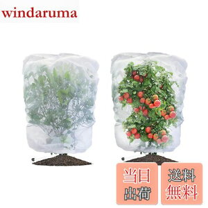 yzLIANHATA hlbg 2Zbg AیJo[ bVВ hlbg 悯Jo[ ؖ ΍ ʋC  Ap ؍͔| ؉v^[p (80*80cm)