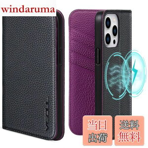 yzVISOUL iPhone 15 ProMax Ή P[X 蒠^ {v MagSafeΉ U[ Sʕی }Olbg J[h[ ACtH15 v}bNX P[X uX^h@\t蒠^ 6.7C` iphon