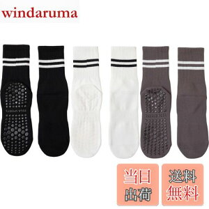 yz[DFsucces] K\bNX ~ KC 3 Õ\bNX  ۉ seBX \bNX RۏLC z z ʋC X|[c tBbglX I[V[YΉ 