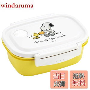 yzXP[^[(Skater) Ny y ٓ M 550ml WΉ V[e ۑe Xk[s[  { XPM4-A