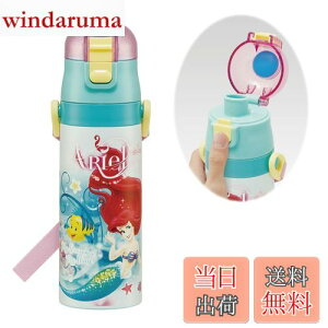 yzXP[^[(Skater) qp XeX   470ml fBYj[ AG 24 qɗDyʃ^Cv ۗp waterbottle X|[c{g 킢 LbY q ǂ r SDC4-